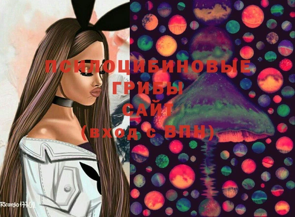 мдпв Абинск